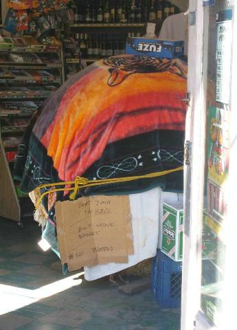 picture holiday04.jpg
